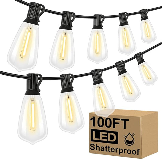 String Lights (100 ft)